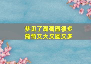 梦见了葡萄园很多葡萄又大又圆又多