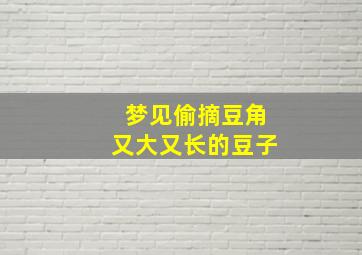 梦见偷摘豆角又大又长的豆子