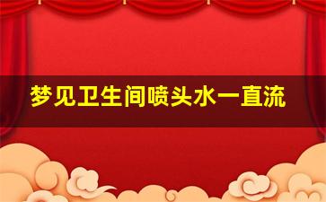 梦见卫生间喷头水一直流