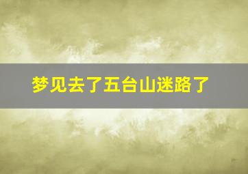 梦见去了五台山迷路了