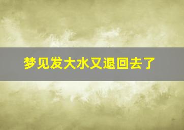 梦见发大水又退回去了