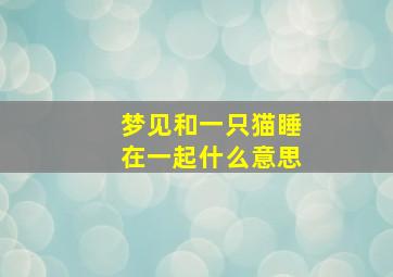 梦见和一只猫睡在一起什么意思