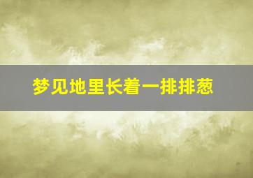 梦见地里长着一排排葱