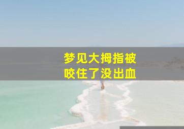 梦见大拇指被咬住了没出血