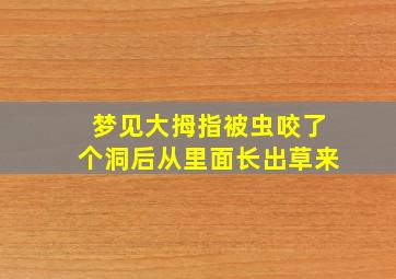 梦见大拇指被虫咬了个洞后从里面长出草来