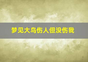 梦见大鸟伤人但没伤我