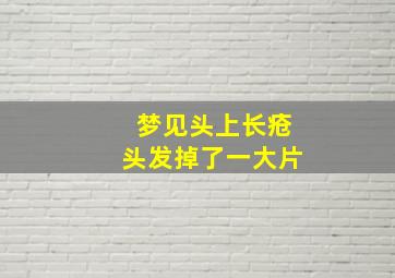 梦见头上长疮头发掉了一大片