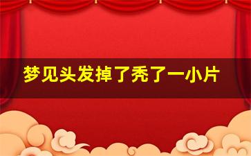 梦见头发掉了秃了一小片