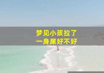 梦见小孩拉了一身屎好不好