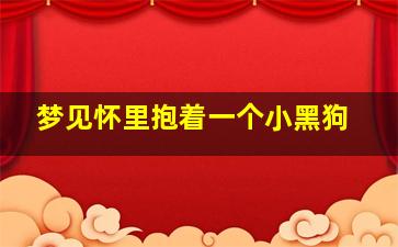 梦见怀里抱着一个小黑狗