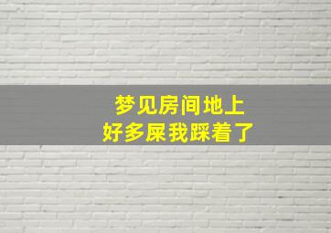 梦见房间地上好多屎我踩着了