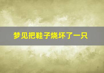 梦见把鞋子烧坏了一只