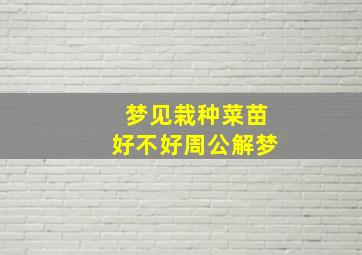 梦见栽种菜苗好不好周公解梦