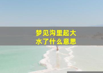 梦见沟里起大水了什么意思