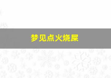 梦见点火烧屎