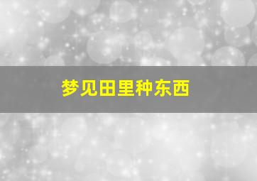 梦见田里种东西