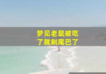 梦见老鼠被吃了就剩尾巴了