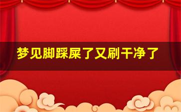 梦见脚踩屎了又刷干净了