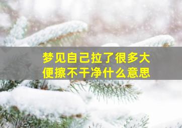 梦见自己拉了很多大便擦不干净什么意思