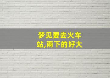 梦见要去火车站,雨下的好大