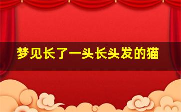 梦见长了一头长头发的猫