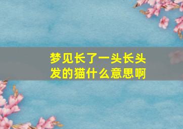 梦见长了一头长头发的猫什么意思啊