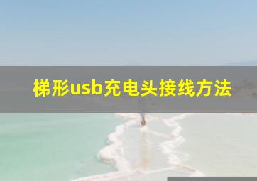 梯形usb充电头接线方法