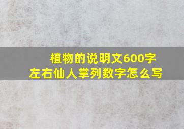 植物的说明文600字左右仙人掌列数字怎么写