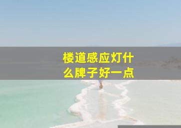 楼道感应灯什么牌子好一点