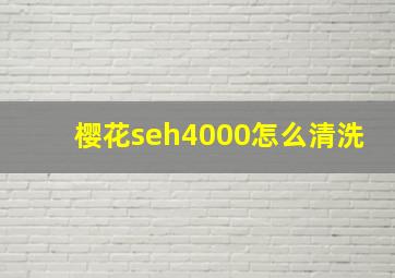 樱花seh4000怎么清洗