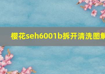 樱花seh6001b拆开清洗图解