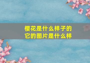 樱花是什么样子的它的图片是什么样