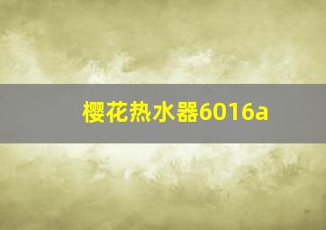 樱花热水器6016a