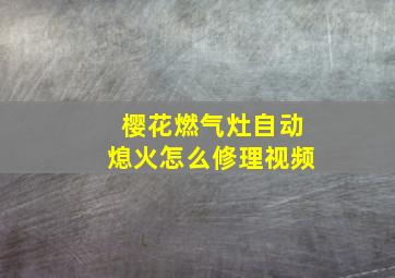 樱花燃气灶自动熄火怎么修理视频