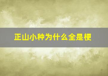 正山小种为什么全是梗