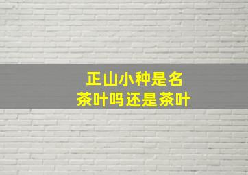 正山小种是名茶叶吗还是茶叶