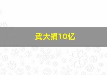 武大捐10亿