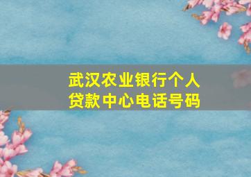 武汉农业银行个人贷款中心电话号码