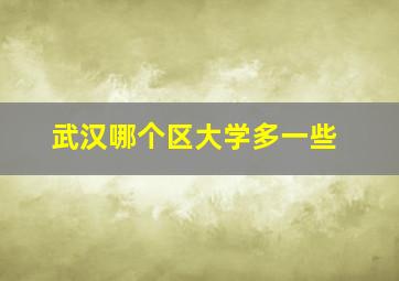 武汉哪个区大学多一些