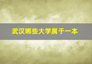 武汉哪些大学属于一本