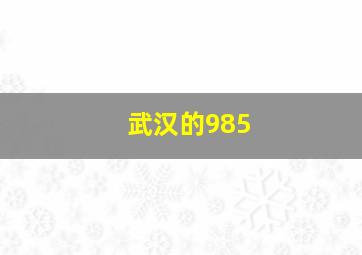 武汉的985