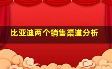 比亚迪两个销售渠道分析