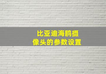 比亚迪海鸥摄像头的参数设置