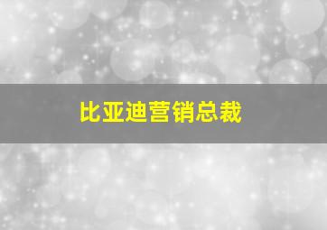 比亚迪营销总裁