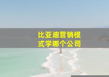 比亚迪营销模式学哪个公司