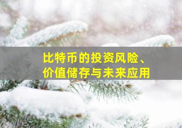 比特币的投资风险、价值储存与未来应用