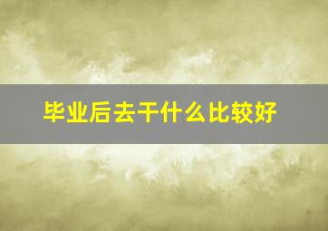 毕业后去干什么比较好