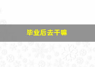 毕业后去干嘛