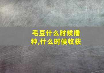 毛豆什么时候播种,什么时候收获