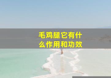 毛鸡腿它有什么作用和功效